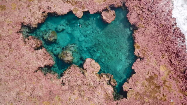 Tropical coral Island