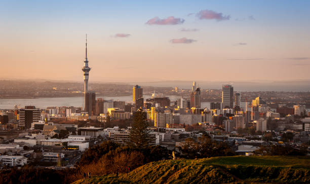 Auckland City, view from mount eden Sunrise in Auckland, New Zealand. Beautiful soft light, waterfront and skyline. auckland region photos stock pictures, royalty-free photos & images