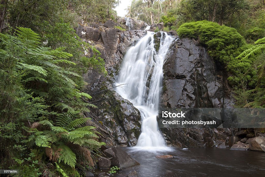 Steavenson's Falls  Marysville - Washington Stock Photo