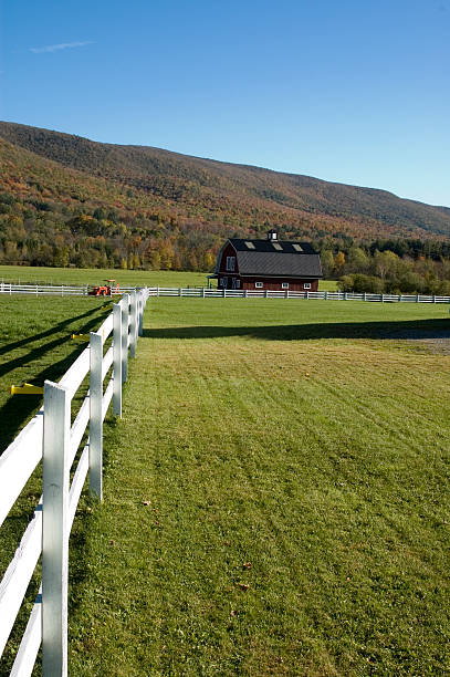 istock Fall Time at the Vermont Horse Farm 117714117