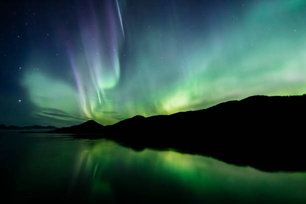 istock Aurora Borealis - northern lights - southeast Alaska 1177141217