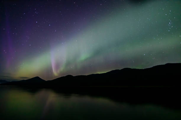 istock Aurora Borealis - northern lights - southeast Alaska 1177141428