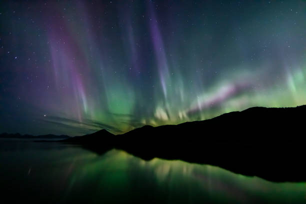 istock Aurora Borealis - northern lights - southeast Alaska 1177141441