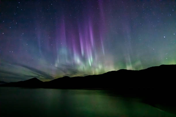 istock Aurora Borealis - northern lights - southeast Alaska 1177142124