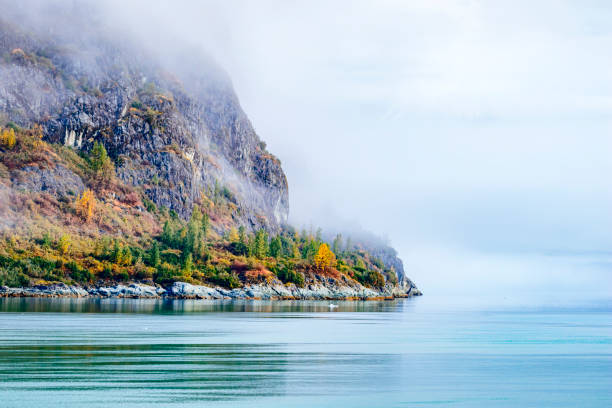 istock Fall color landscape in Glacier Bay National Park 1177142137