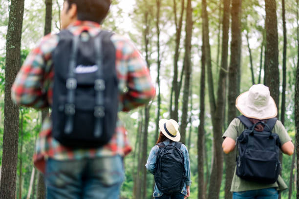 istock travelers walking into a beautiful pine woods 1177143955