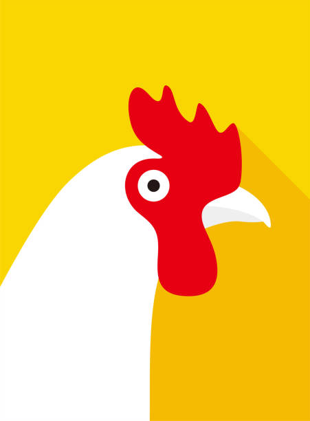 henne gesicht flache sende-symbol-design, vektor-illustration - chicken poultry cartoon cockerel stock-grafiken, -clipart, -cartoons und -symbole