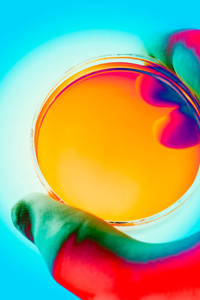 Petri Dish: abstract, colorful art Hand holding petri dish with  fluid petri dish photos stock pictures, royalty-free photos & images