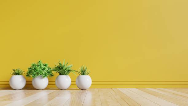istock Yellow empty room with plants on a floor. 1177145195