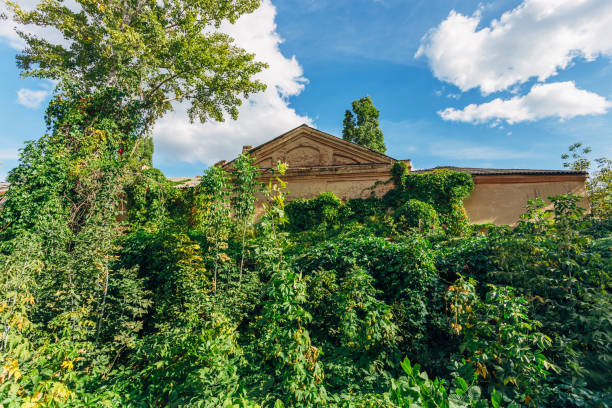 Old abandoned overgrown ruined house in Voronezh.