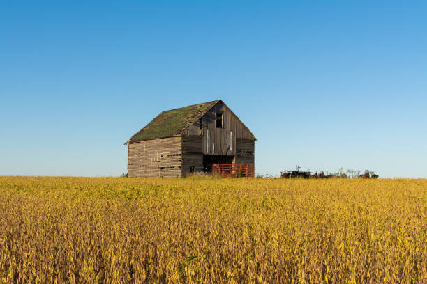 istock Vintage wooden barn 1177147358