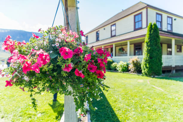 Cache Creek, British Columbia / Canada - 06/22/2015 Historic Hat Creek ranch with restaurant serving American breakfast & lunch in an 1870s ranch, plus carriage rides on the Barnards Express.