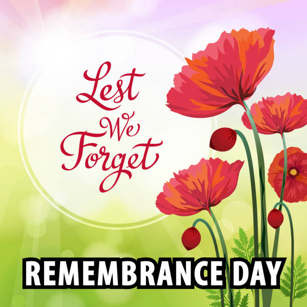 현충일 양귀비 꽃 - poppy field remembrance day flower stock illustrations