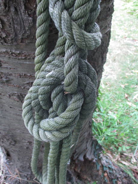 istock Twisted rope  Rope knots 1177151551