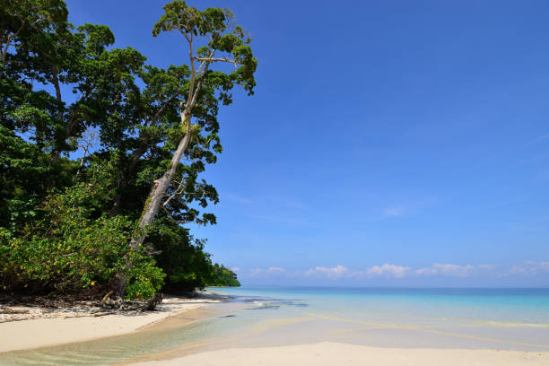 istock Andaman and Nicobar Island, India 1177155532