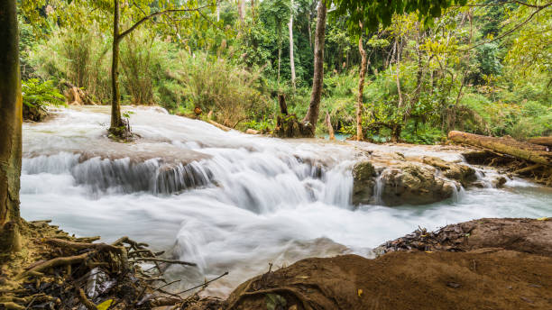 istock Tad Kuang Si, A great waterfall in Laung Prabang ,Laos 1177155541