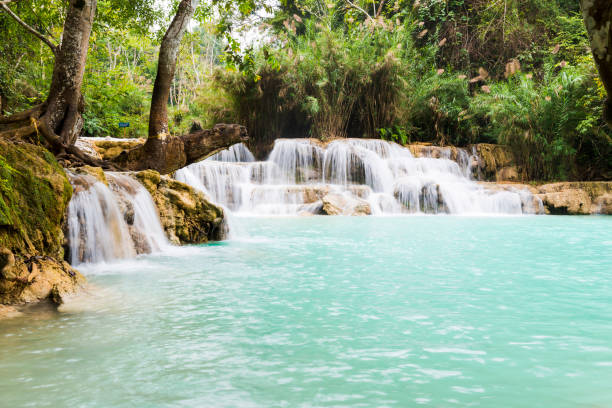istock Tad Kuang Si, A great waterfall in Laung Prabang ,Laos 1177155550