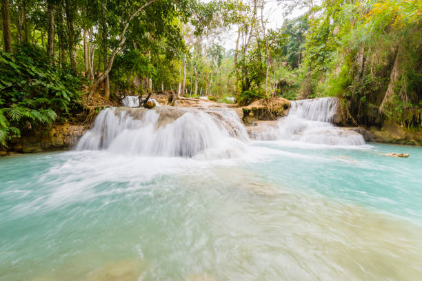 istock Tad Kuang Si, A great waterfall in Laung Prabang ,Laos 1177155561