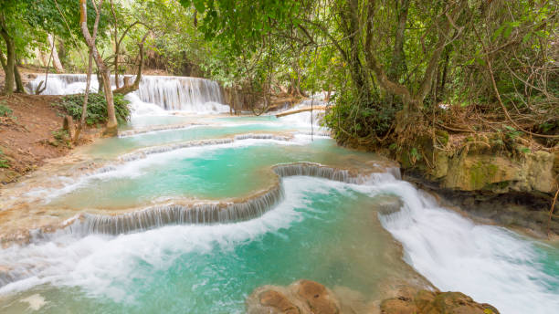 istock Tad Kuang Si, A great waterfall in Laung Prabang ,Laos 1177155594
