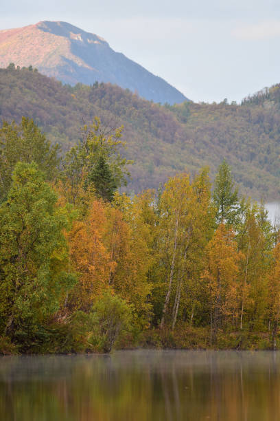 istock Alaska Autumn Colors 1177155820