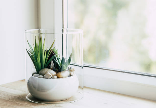 Small modern tabletop glass open terrarium for plants on window sill in natural light. Lot of copy space. Small modern tabletop glass open terrarium for plants on window sill in natural light. Lot of copy space. Blur bokeh background. meditation room office stock pictures, royalty-free photos & images