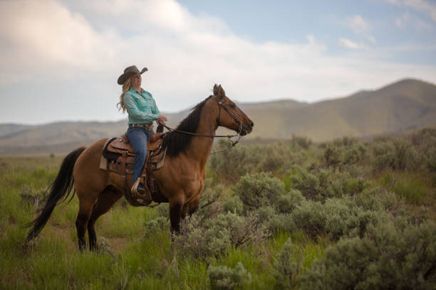 istock Cowgirl Horseback Riding 1177164444