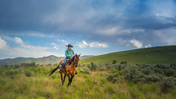 istock Senior cowboy horseback riding 1177164965