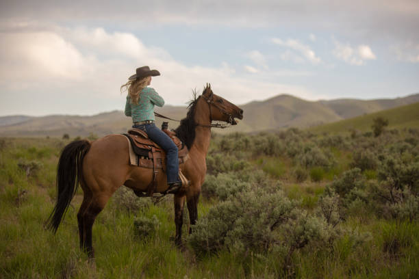 騎乗位乗馬 - cowgirl ストックフォトと画像