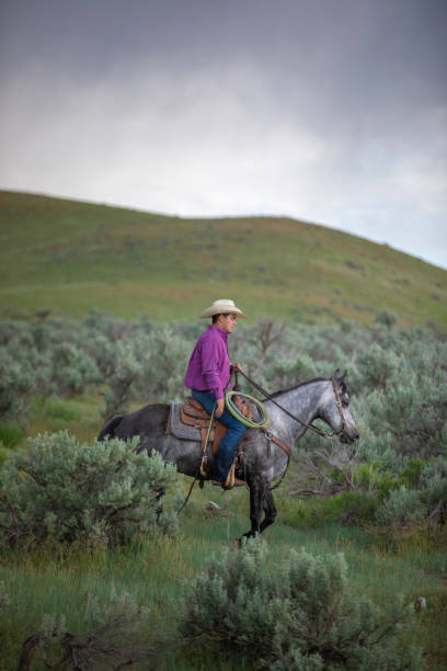 istock Cowboy Riding Horse Utah, USA 1177166589