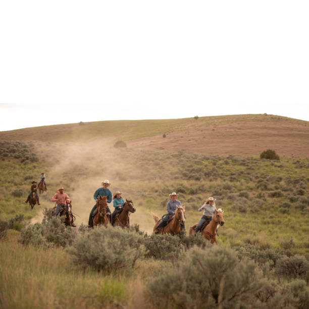 istock Ranchers on horses in Utah, USA 1177167710