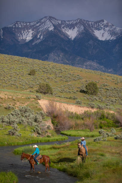 istock Ranchers Riding Across a Stream Utah, USA 1177167777