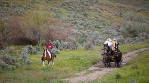 istock Cowboy escorting a horse carriage in Utah, USA 1177167835