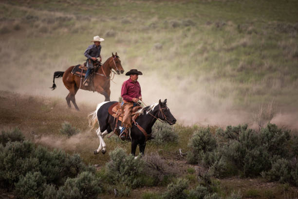 istock Ranchers on horses in Utah, USA 1177168752