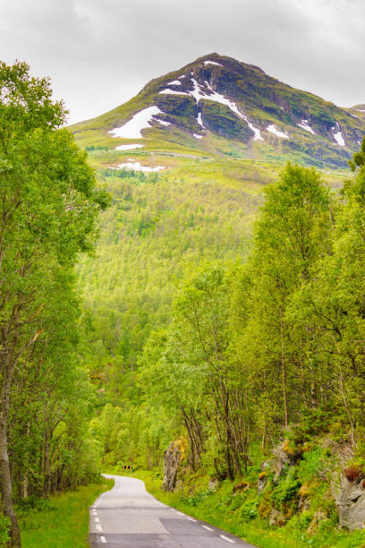 istock Mountains landscape. Norwegian scenic route Aurlandsfjellet 1177169544