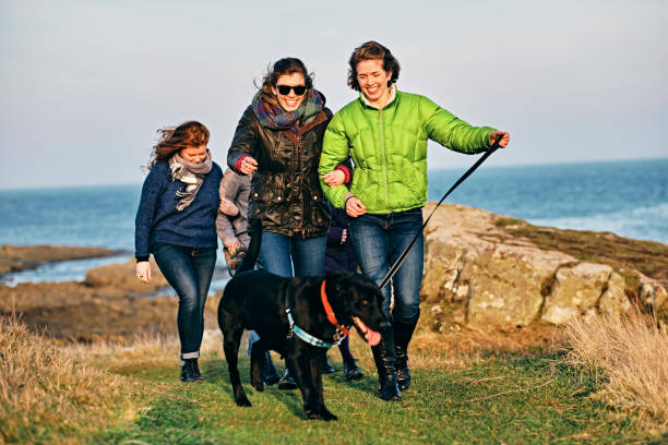 istock Friends walking by the sea 1177169924