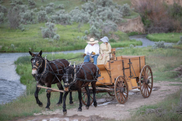 istock Horse carriage Utah 1177170878