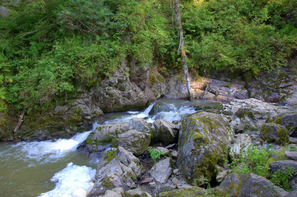 istock The mountain river forms a backwater, breaks through the stones with a small waterfall. 1177170919