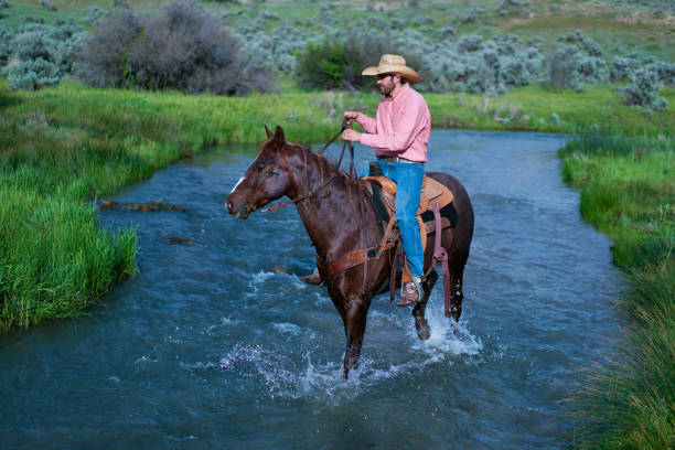 istock Cowboy Riding Across a Stream Utah, USA 1177171000