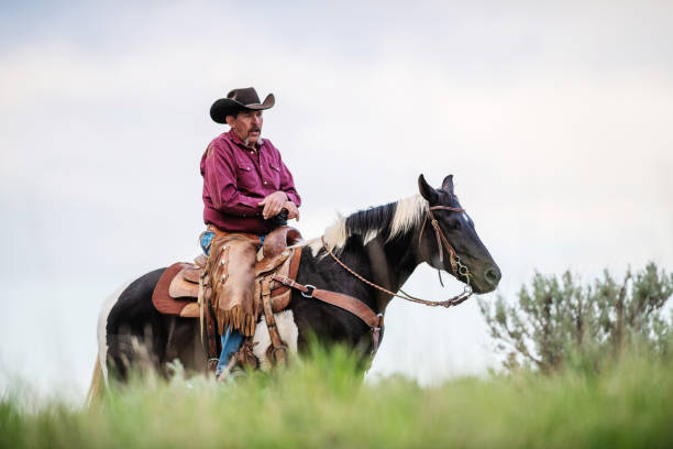 istock Senior cowboy horseback riding 1177171234