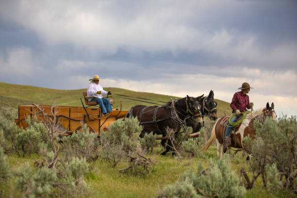 istock Cowboy escorting a horse carriage in Utah, USA 1177172022