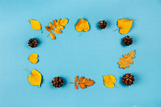 istock Autumn frame of pine cones and yellow leaves. 1177172456