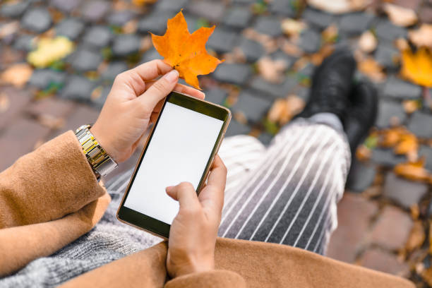 mulher segurando telefone com tela branca ao ar livre folha de plátano amarela - maple leaf green outdoors - fotografias e filmes do acervo