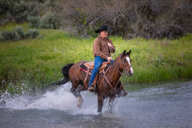 istock Cowboy Riding Across a Stream Utah, USA 1177173384
