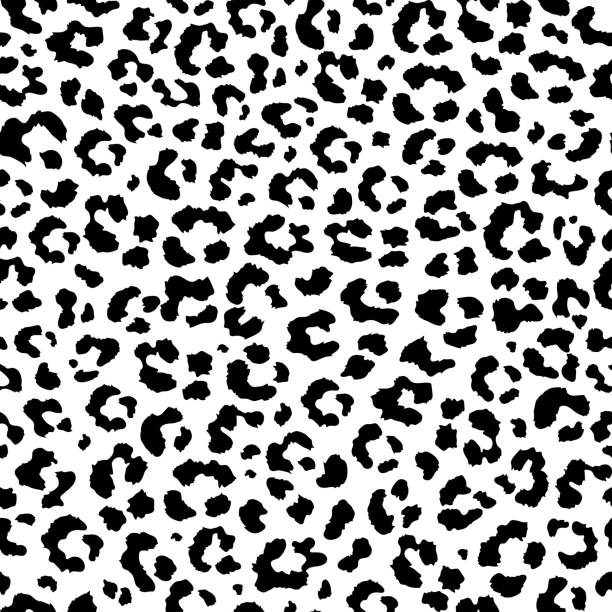 Black And White Leopard Print Illustrations, Royalty-Free Vector Graphics &  Clip Art - iStock