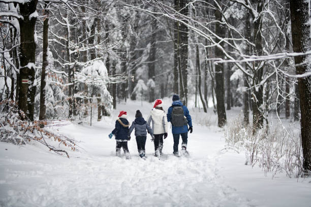 istock Father with kids walking into beautiful winter forest 1177177300