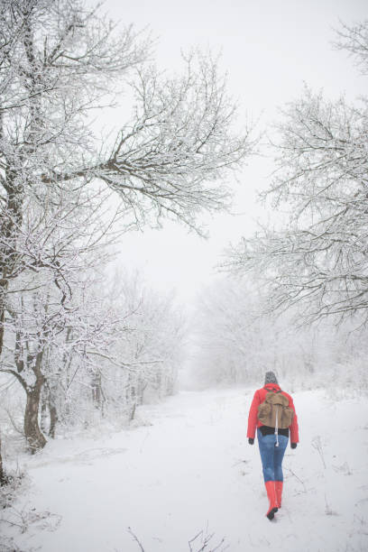 istock Woman with a backpack walking through winter forest. 1177184924