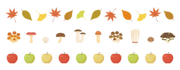 jesienny zestaw linii - kania-grzyb-jadalny-obrazy stock illustrations