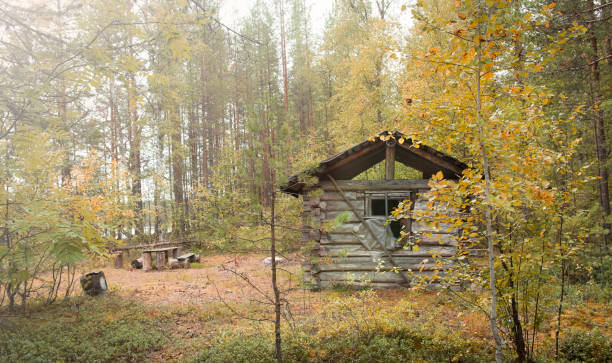istock Old hunting hut in the woods. 1177188604