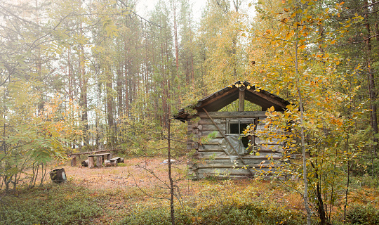 Old hunting hut in the woods.