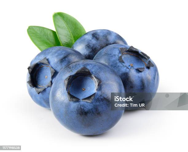 Blueberry Bilberry Blueberries Isolated On White Background With Leaves Clipping Path Stock Photo - Download Image Now
